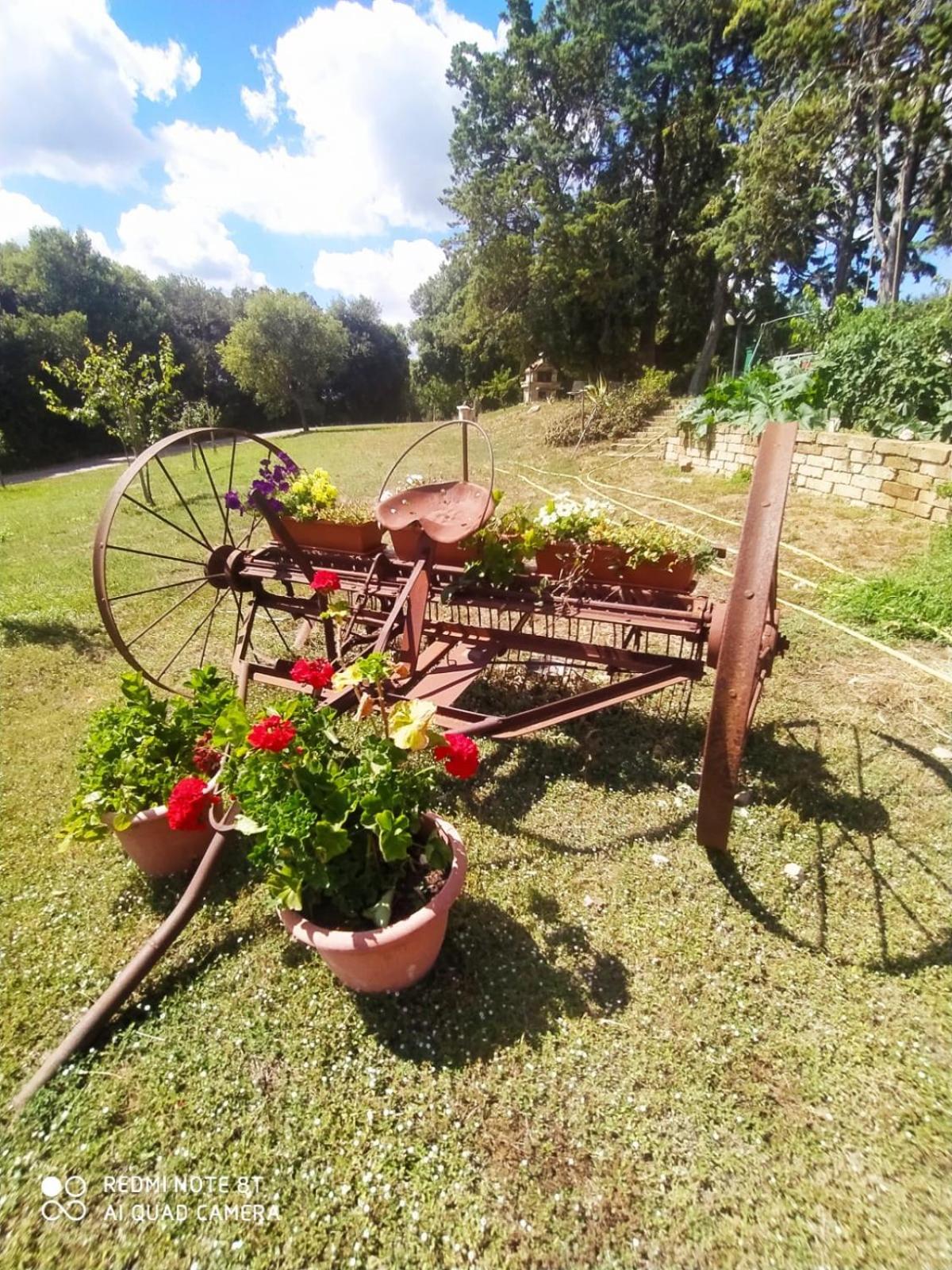 Agriturismo L'Alba Roccastrada Ngoại thất bức ảnh